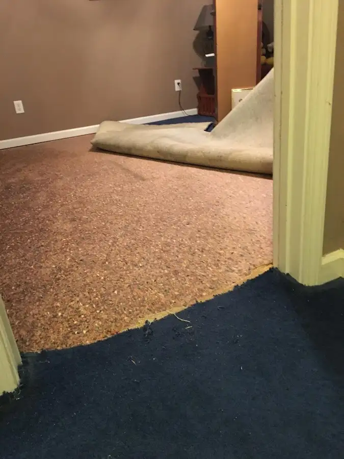 Carpet pad removal revealing water damage during Water Mitigation Services in St. Cloud