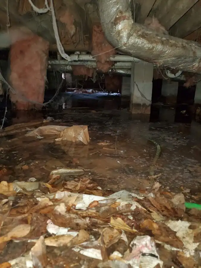 Crawl space flood assessment for Leak Detection & Repair in St. Cloud